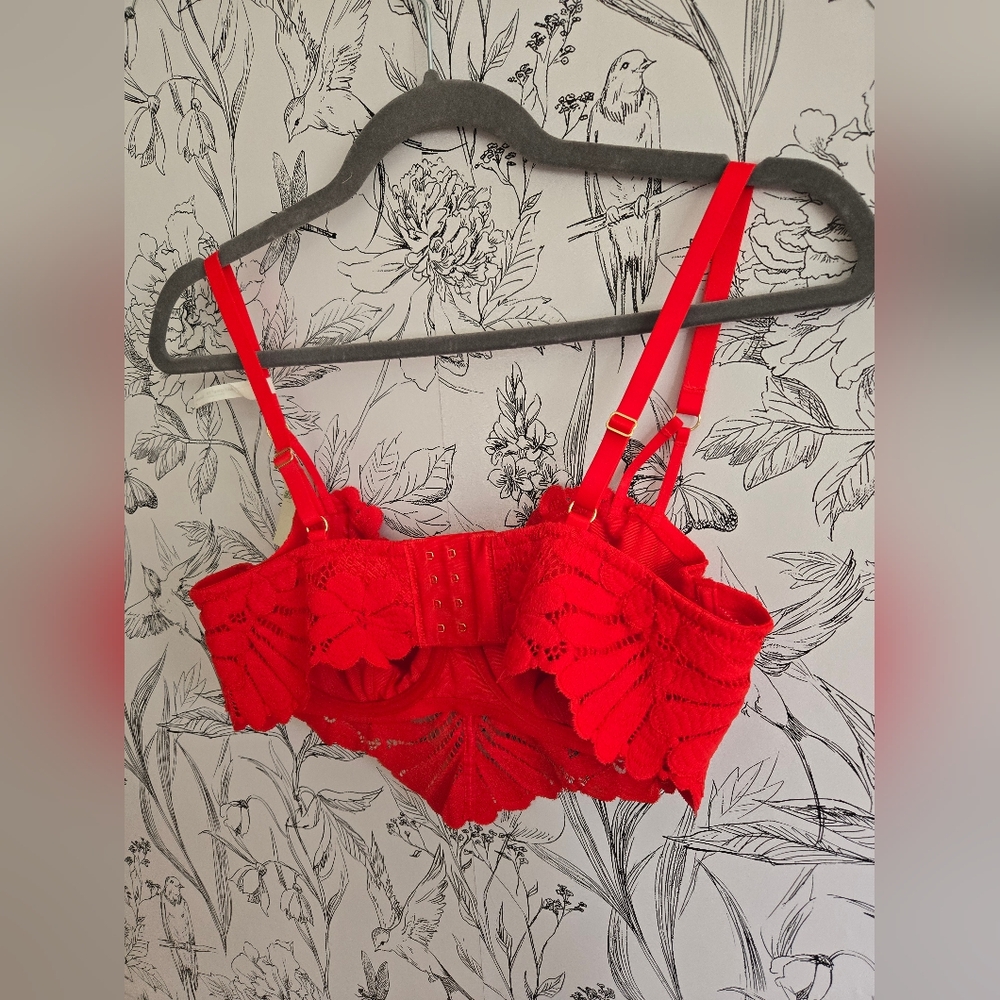 Nwt Aerie Show Off Red Lace Bralette - Picture 6 of 6